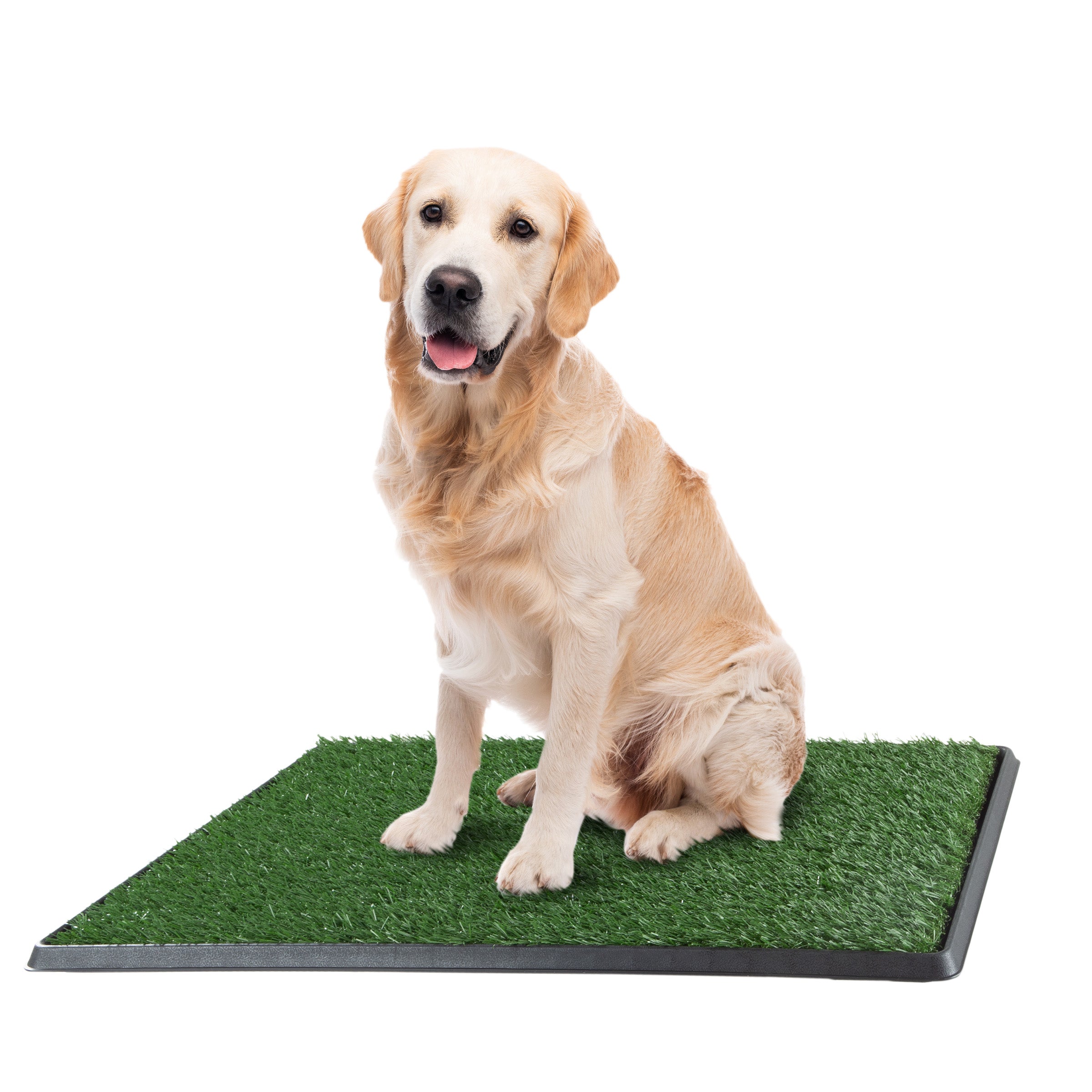 Pee Pads for Dogs Set of Three 30x20 Inch Replacement Turf Grass