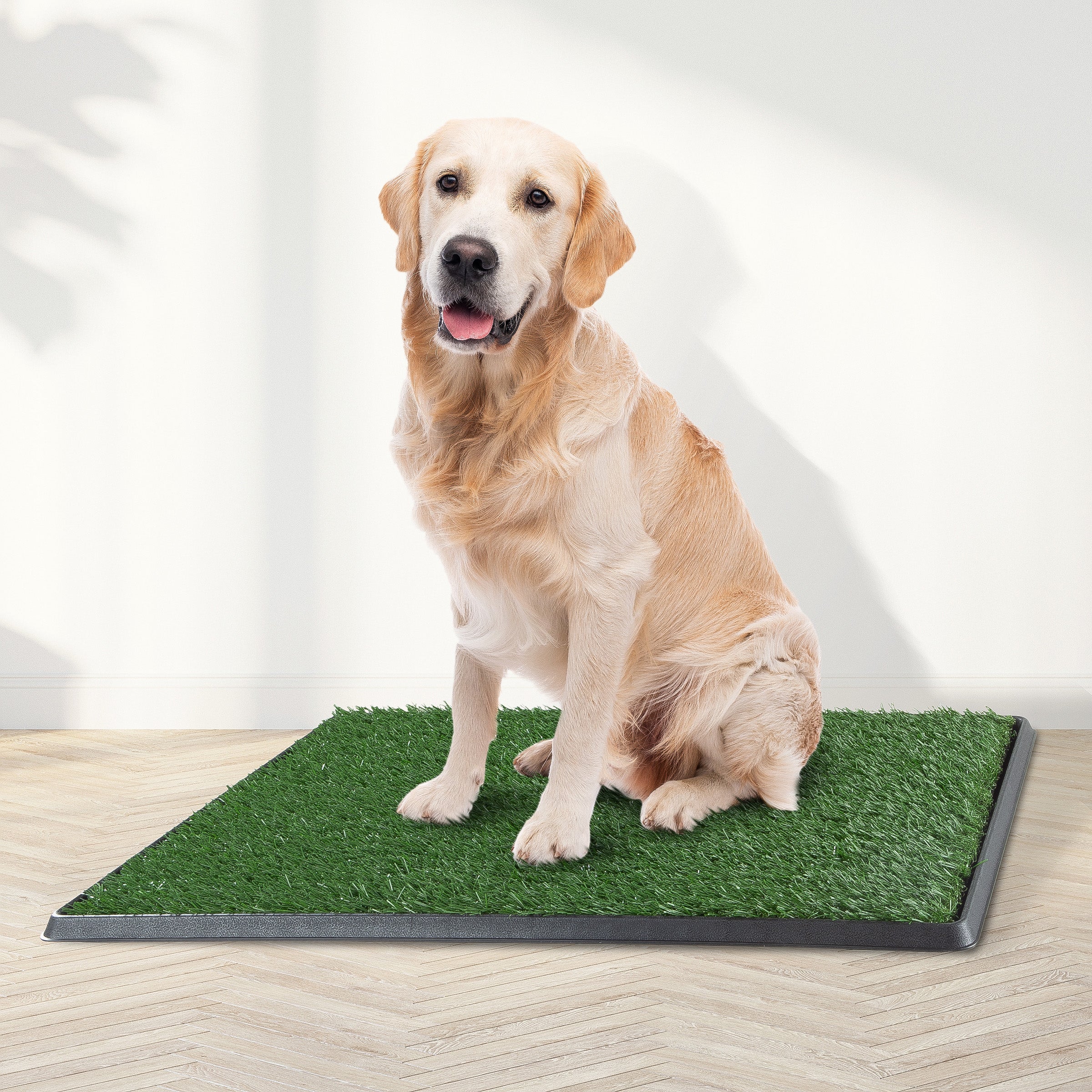 Dog shop grass tray