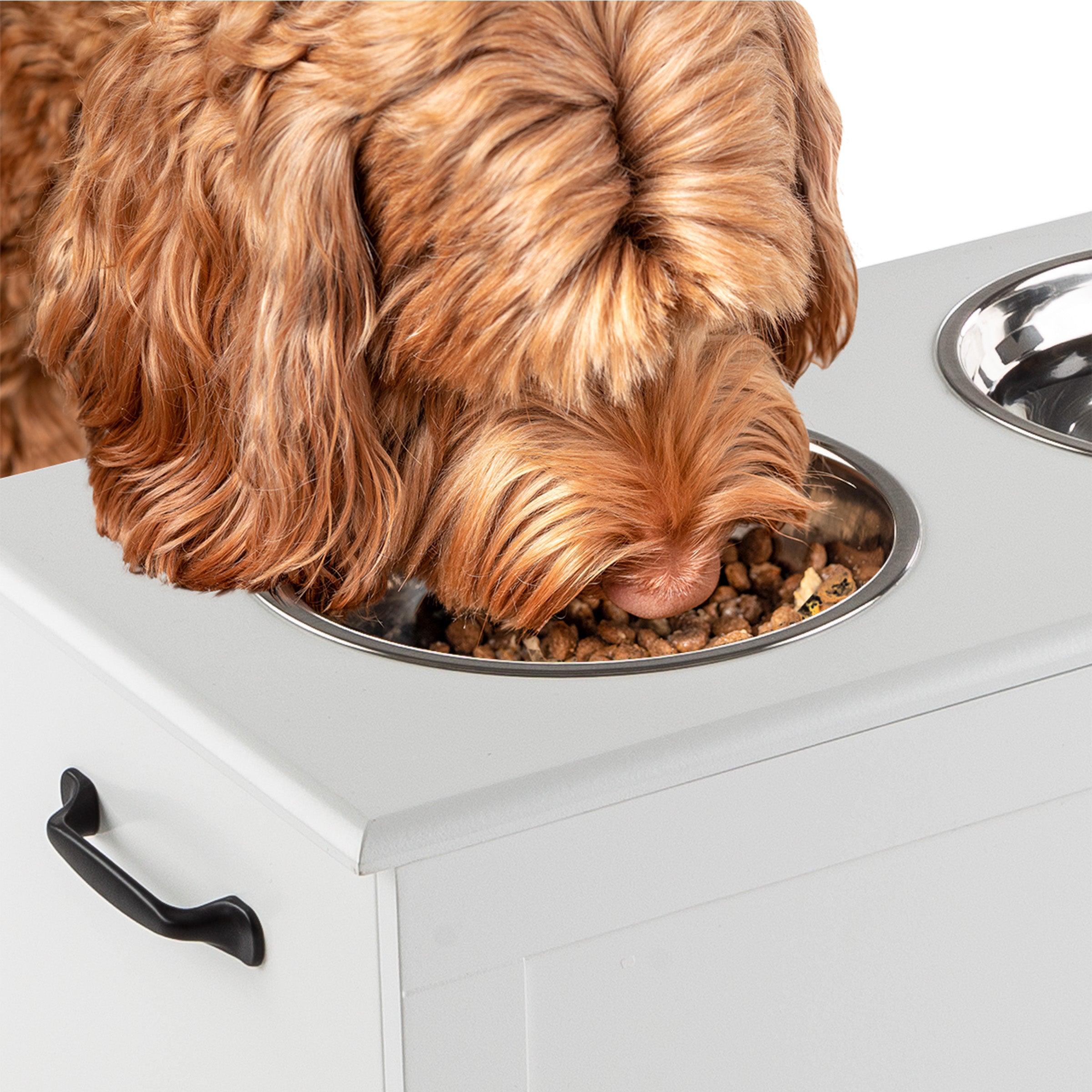 Elevated dog outlet bowl tray